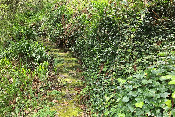 Vale Paraiso - Paradise Valley Walk - Following the Levada Through Fields and Trees