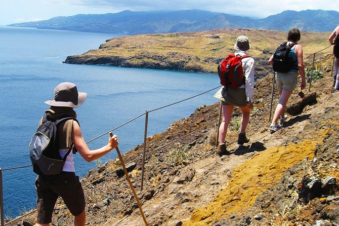 Vereda da Ponta de São Lourenço Trail Walking Tour - Volcanic rock, local plants, and wildlife