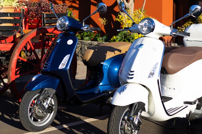 Vespa Primavera 24 Hour Rental in Madeira - Building your own route around Madeira