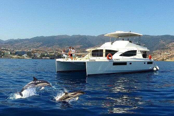 VipDolphins Luxury Whale Watching - Leaving Funchal Marina on a small catamaran