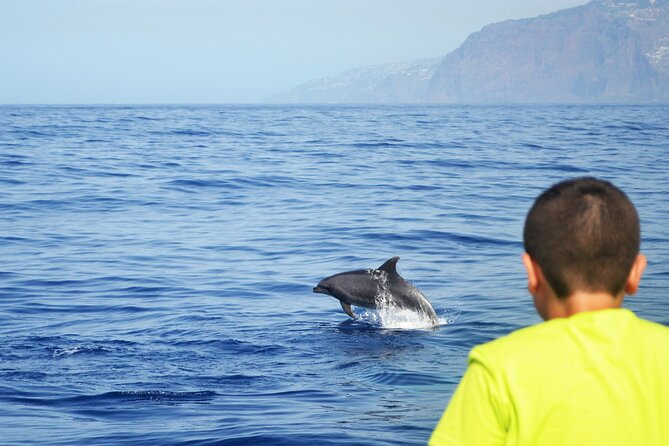 VipDolphins Luxury Whale Watching - Sea conditions and what to bring