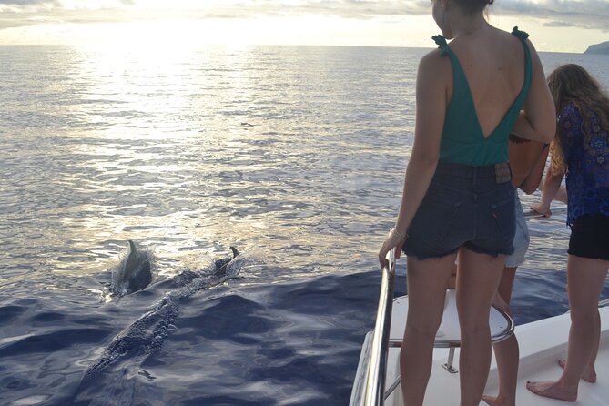 VipDolphins Luxury Whale Watching - Who will get the most from this tour