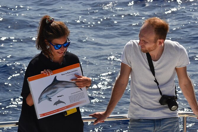 VipDolphins Luxury Whale Watching - Drinks, snacks, and the luxury touch