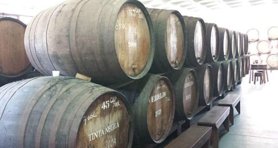 Visiting local Vineyard With Wine Tasting & Lunch included - A long Madeiran lunch with local wine