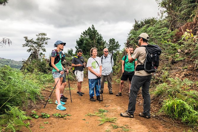 Walk with a local - A local guide and a small group