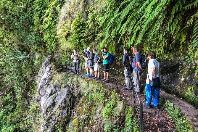 Walk with a local - Is $66.38 a fair price?