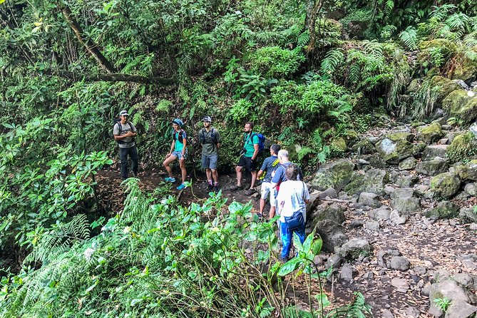 Walk with a local - Timing, weather, and cancellation