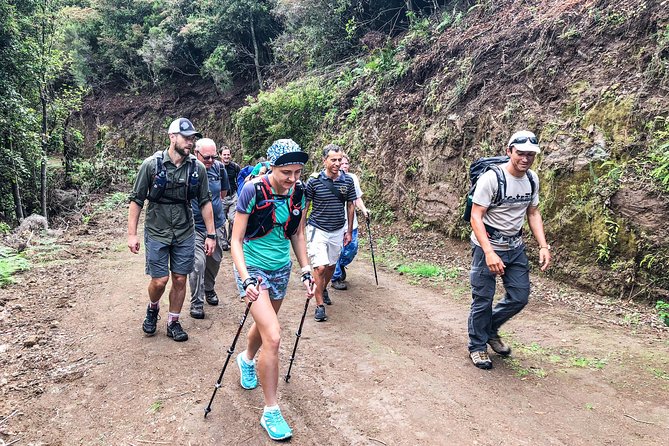 Walk with a local - Choosing between levadas, waterfalls, and coast