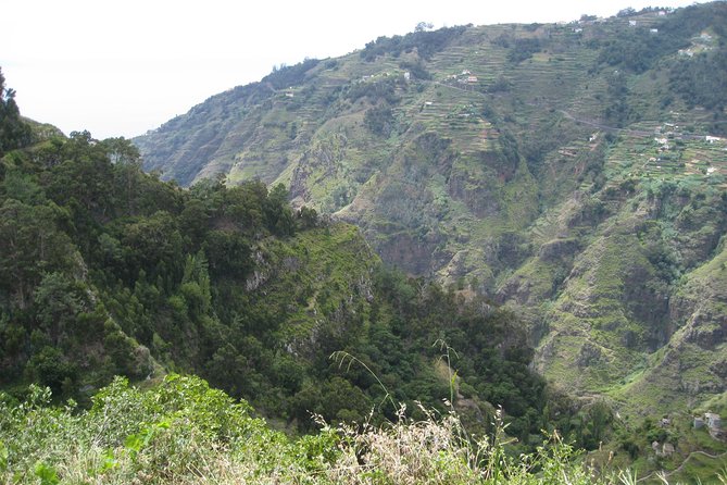 Walking Experience in the Serra D'Água Valley - Following the selected 5-kilometer levada