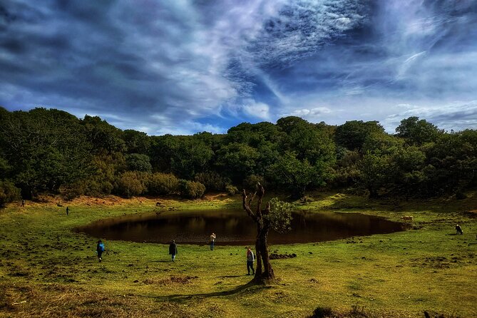 West Madeira Island Guided Tour & Fanal Mystic Forest - Why this west Madeira route works so well