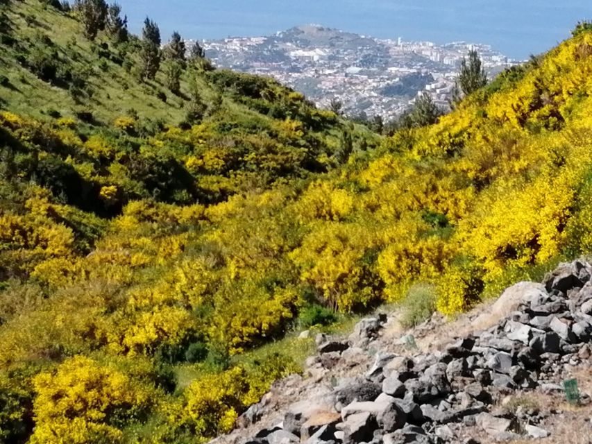 West Madeira:, Laurel Forest, Waterfall, Rock Pools, Walk - Seixal and the Bride’s Veil waterfall