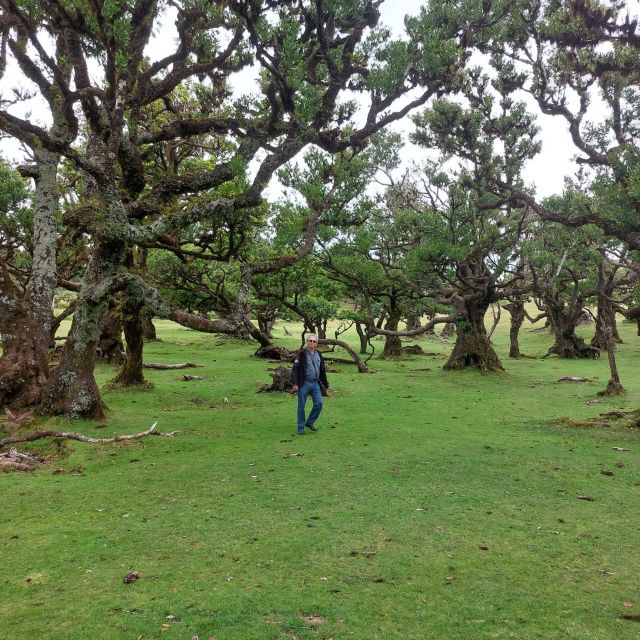 West Madeira:, Laurel Forest, Waterfall, Rock Pools, Walk - The return through Serra de Água