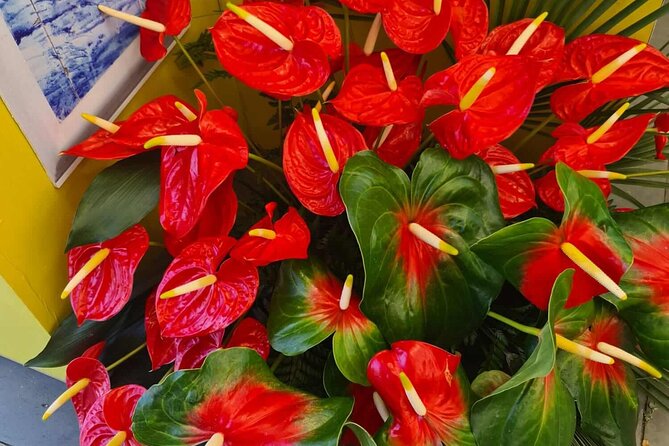 West of Madeira Private Half-Day Tour - Key points to know before booking