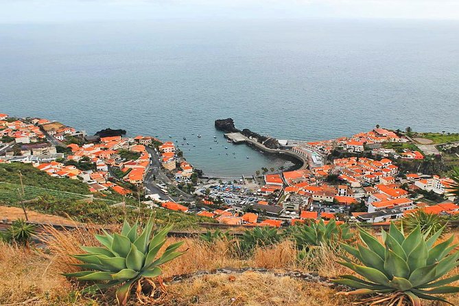 West Tour-Fanal Forest & Porto Moniz Natural Pools Small Groups - Why this west Madeira route works so well