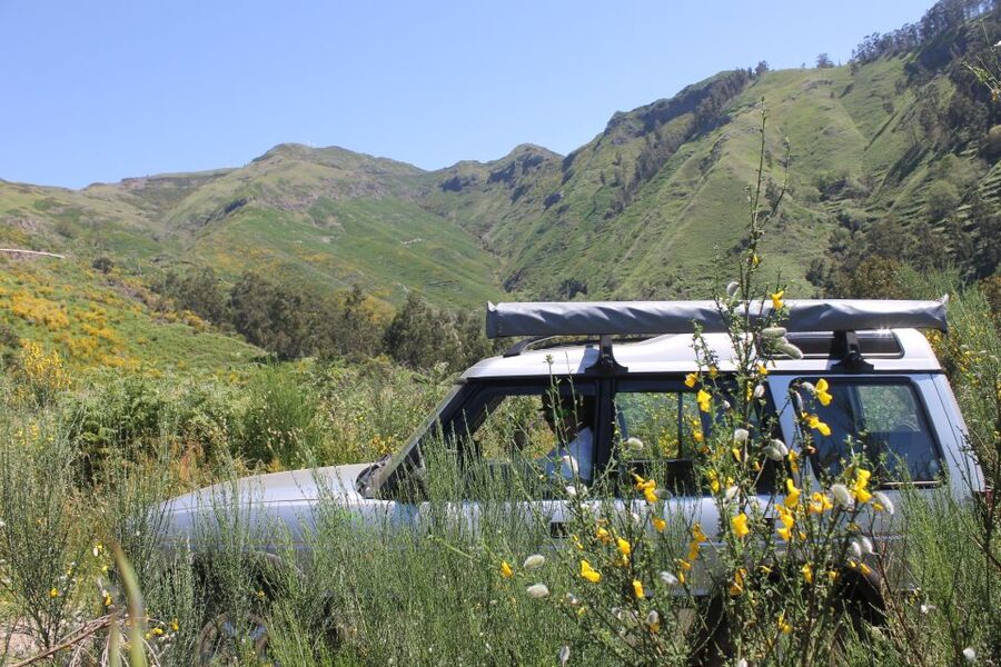 West Tour Full day 4x4 Jipe Tour Natural Swimming Pools - Why this west coast route works so well