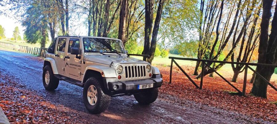 West tour - Porto Moniz VIP 4X4 Wrangler Tour 8h trip - Fanal Forest is the day’s most atmospheric stop