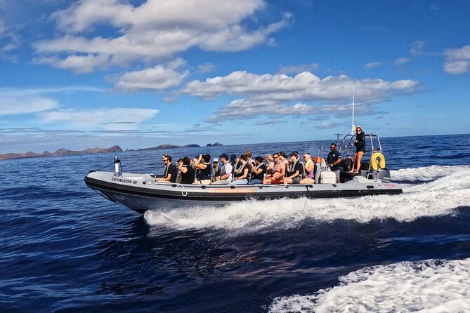 Whale and Dolphin Watching Tour from Funchal - The no-sighting guarantee matters