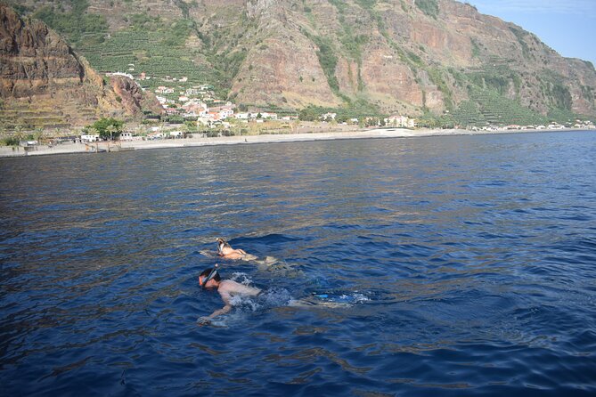 Whale and Dolphin Watching Tour in Madeira - Morning, midday, or sunset sailing