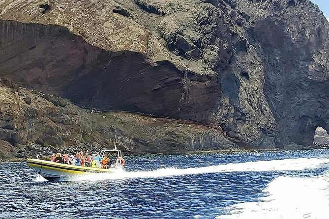 Whale & Dolphin Watching in Madeira - What the two-hour schedule feels like