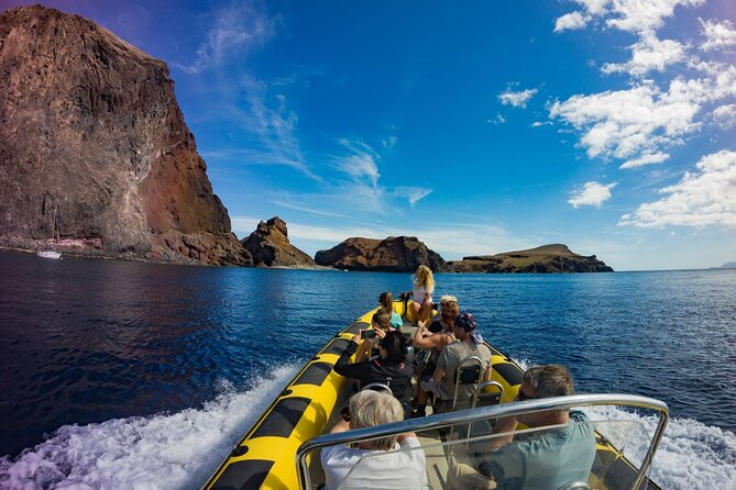 Whale & Dolphin Watching in Madeira - Should you book Whale and Dolphin Watching in Madeira?
