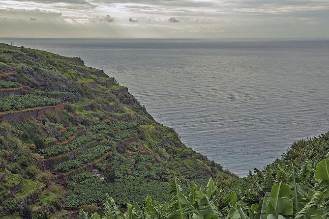 Wine + Dolphin Watching - Full Day- Shared Tour - Cabo Girão delivers a quick but powerful stop