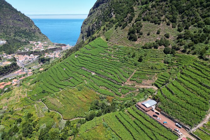 Wine taste, 4x4 Jeep Adventure and Cabo Girão Skywalk - Why this Madeira Jeep tour works well in one afternoon