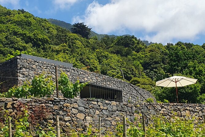 Wine Tasting Experience in Boaventura, Madeira North Coast - A small group with an adult focus