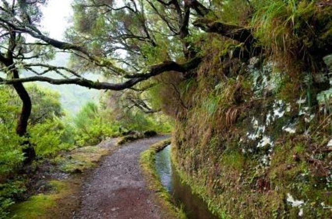 Wine Tasting Experience in Boaventura, Madeira North Coast - Seeing the vineyard and boutique winery