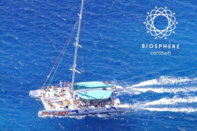 Wines Tasting Experience and Skywalk with Dolphin Watching - 8:40 to 9:00 a.m. pickup in Funchal